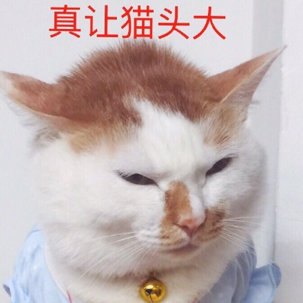 微信可爱萌萌哒喵星人表情包