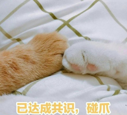 开始自闭微信恶搞喵星人表情包