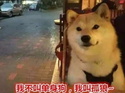 微信近期斗图恶搞表情包2019/1/23