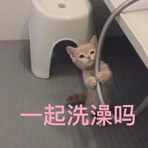微信超萌喵星人表情包