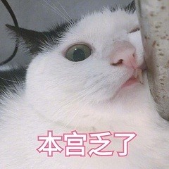 微信超萌喵星人表情包