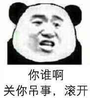虚伪微信熊猫头恶搞表情包