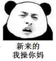 虚伪微信熊猫头恶搞表情包