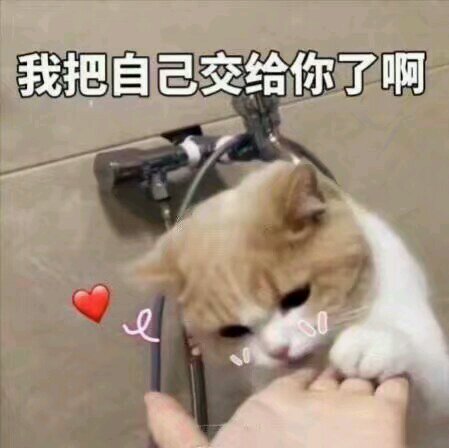 近期微信恶搞斗图表情包2019/1/27