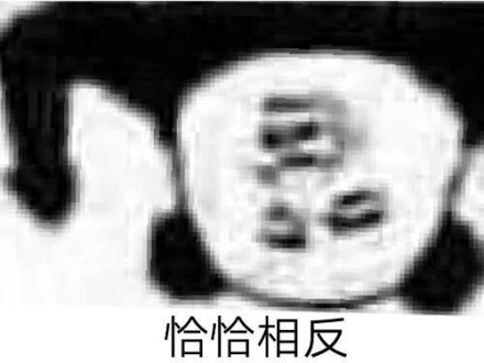 爆笑熊猫头斗图微信表情包