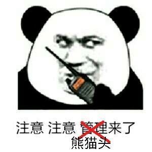 微信熊猫搞怪头斗图表情包