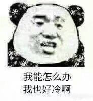 微信搞笑金馆长熊猫头斗图表情包