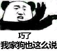 微信爆笑搞怪熊猫头金馆长斗图表情包