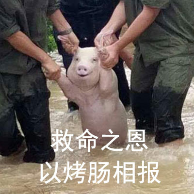 微信近期斗图恶搞表情包2019/1/27（二）