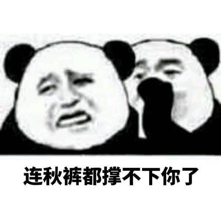 我的天呐微信熊猫头恶搞斗图表情包