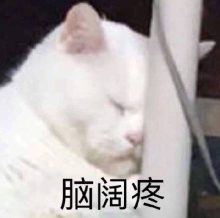 微信近期斗图恶搞表情包2019/2/7（二）
