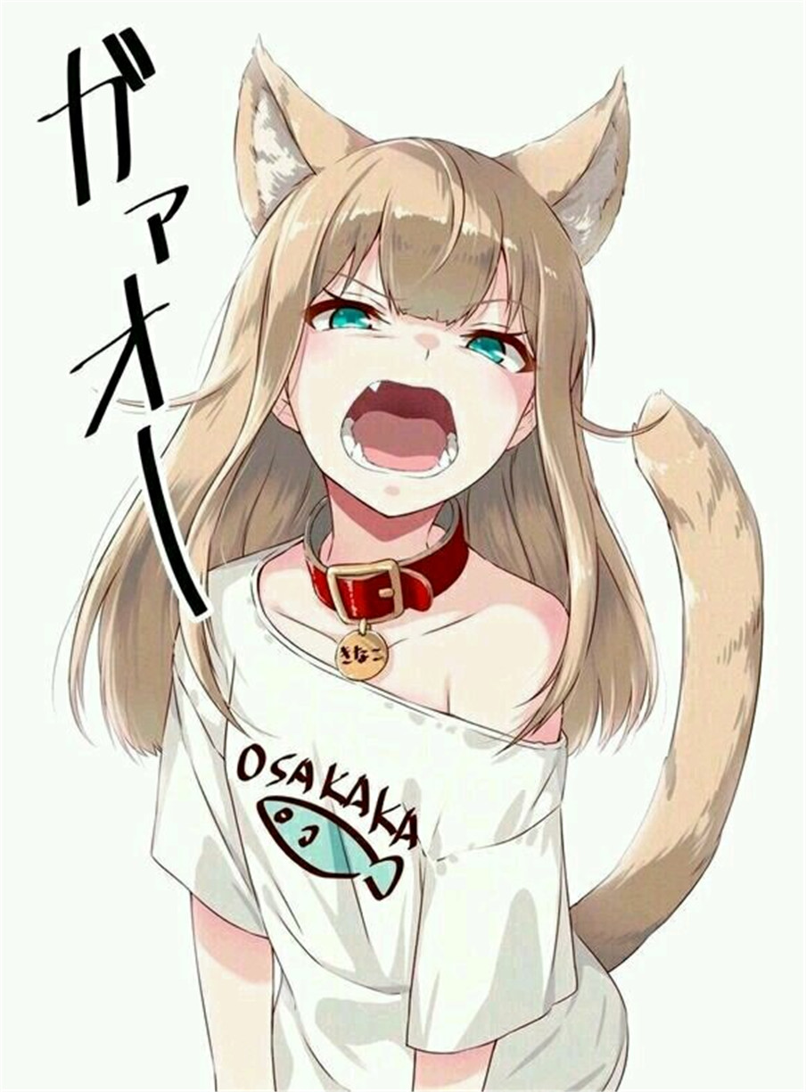 微信搞怪二次元聊天背景