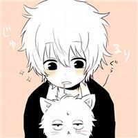 动漫卡通系列微信Q版银魂头像合集下载