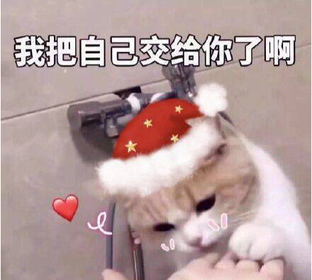 微信近期斗图恶搞表情包2019/2/7（二）