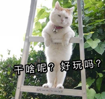 微信近期斗图恶搞表情包2019/2/7（二）