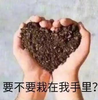 微信近期斗图恶搞表情包2019/2/7（二）