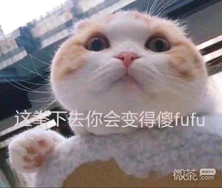 微信可爱动态斗图表情包