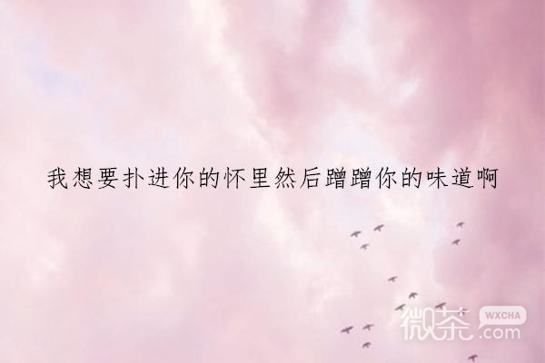 微信唯美风景文字朋友圈配图