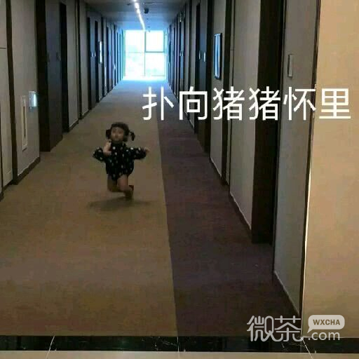 微信可爱动态斗图表情包