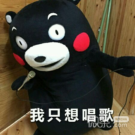 微信爆笑恶搞兔斗图表情包