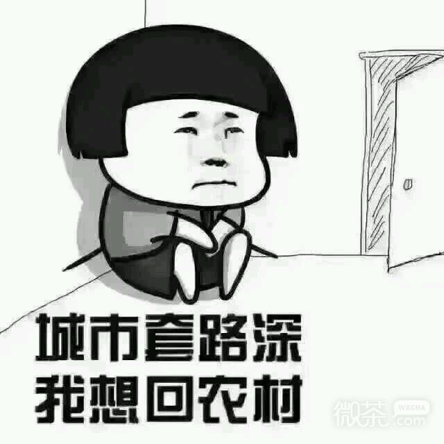 微信爆笑恶搞兔斗图表情包