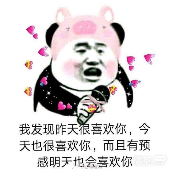 微信可爱动态斗图表情包