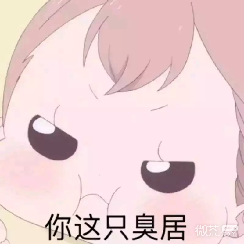 微信动态群聊斗图表情包
