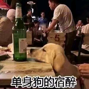 微信恶搞群聊斗图表情包精选
