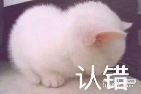 微信动态群聊斗图表情包