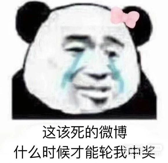 微信傻屌恶搞熊猫头斗图表情包