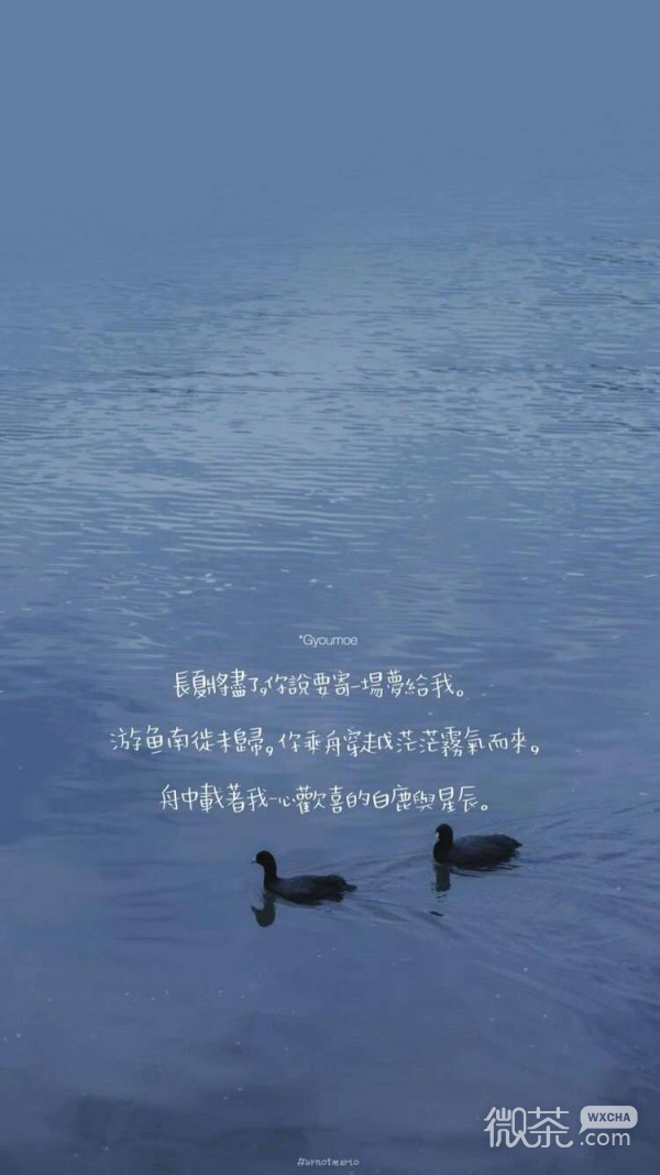 微信唯美星空爱情文字聊天背景