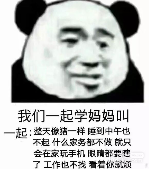 微信傻屌恶搞熊猫头斗图表情包