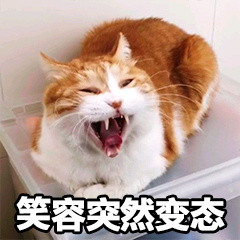 爆笑动态喵星人微信表情包