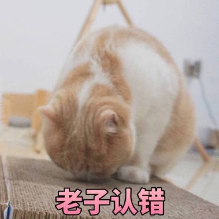 微信爆笑喵星人表情包