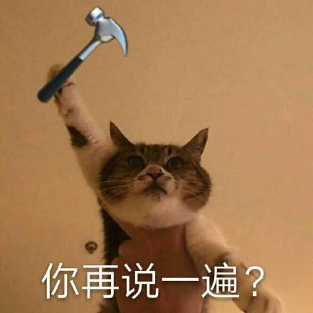 微信爆笑喵星人表情包