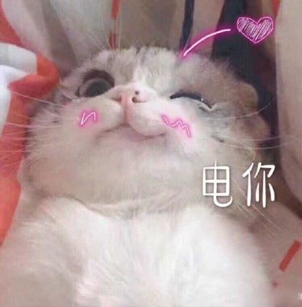 微信爆笑喵星人表情包