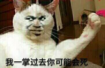 爆笑动态喵星人微信表情包