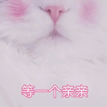 微信爆笑喵星人表情包