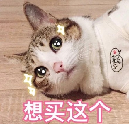 微信爆笑喵星人表情包