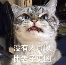 萌宠喵星人微信恶搞表情包