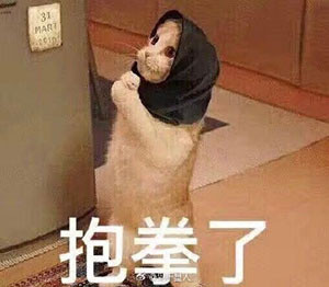 动态喵星人微信表情包