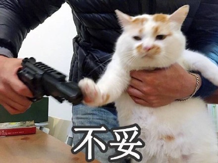 喵星人微信表情包