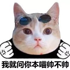 微信爆笑喵星人表情包