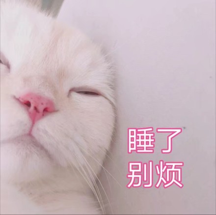 微信爆笑喵星人表情包