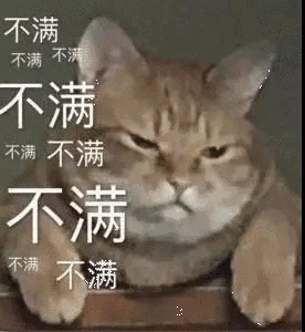 爆笑动态喵星人微信表情包