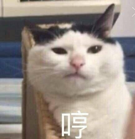 萌宠喵星人微信恶搞表情包