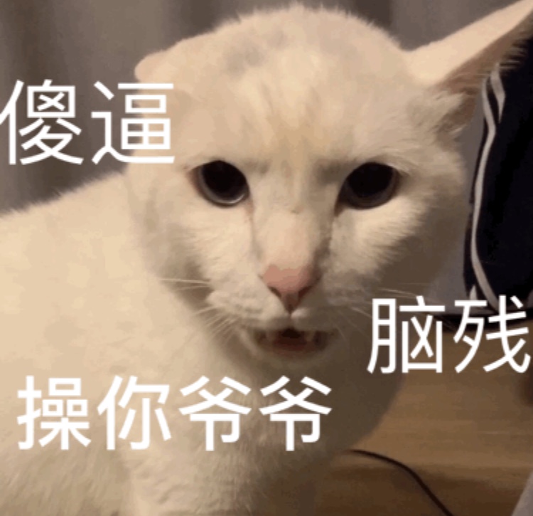 微信小猫表情包