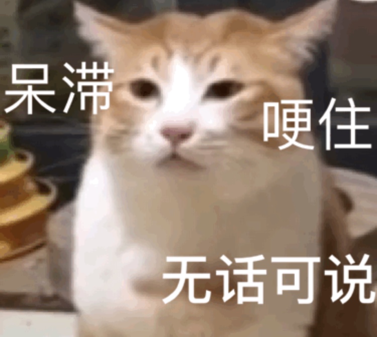 微信小猫表情包