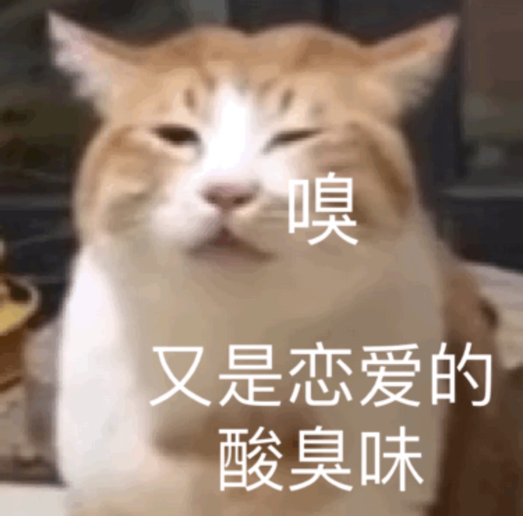 微信小猫表情包