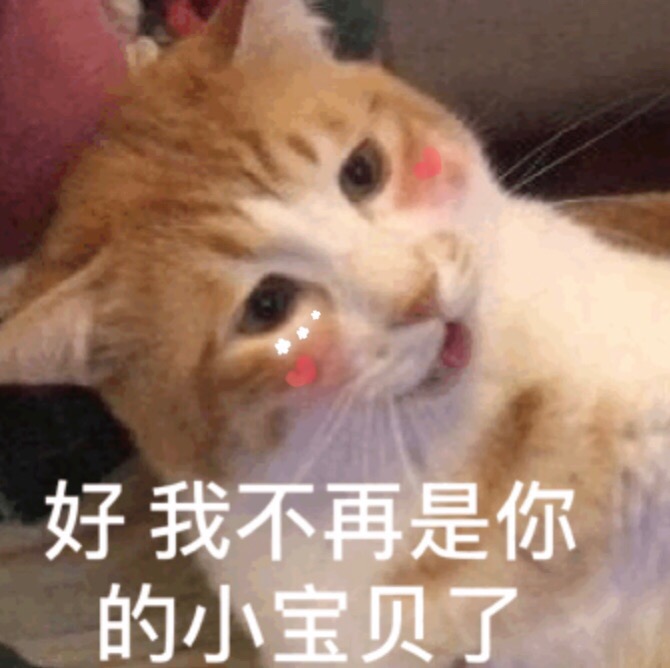 微信小猫表情包
